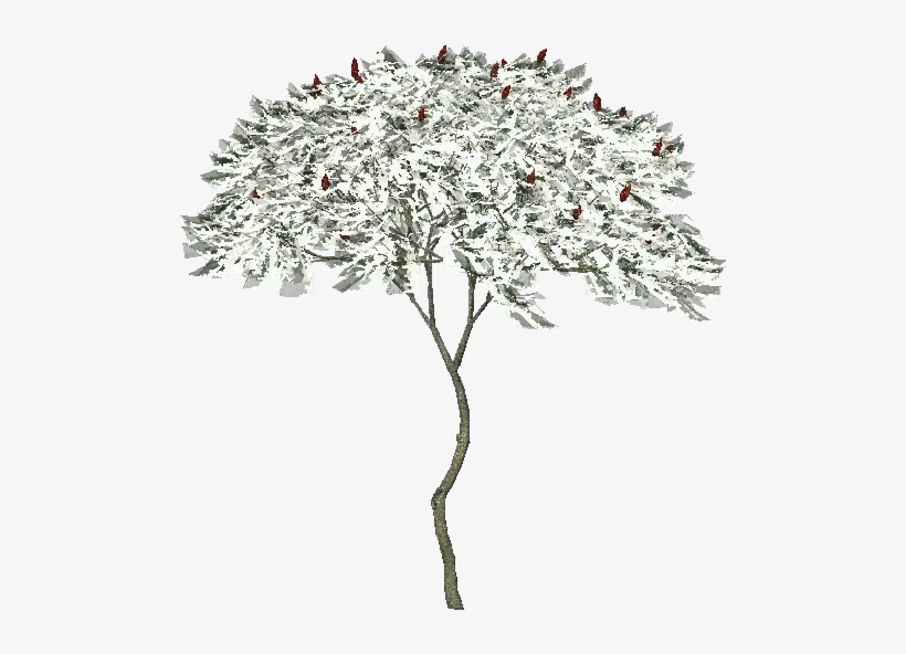 Artificial Flower, transparent png #8012547