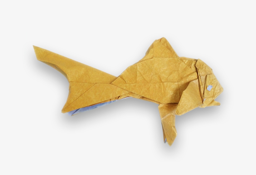 Golden Fish Shuki Kato - Origami, transparent png #8013406