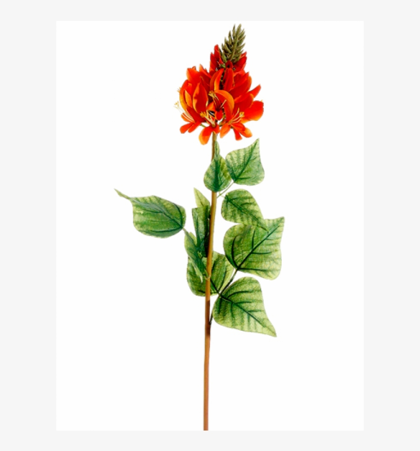 28" Flame Tree Flower Spray Orange - Chinese Hibiscus, transparent png #8013540