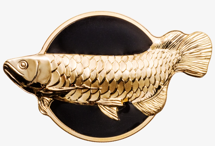 Dragonfish Golden Arowana - Asian Arowana, transparent png #8014464