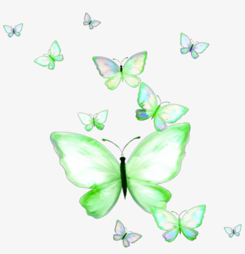 Largest Collection Of Free To Edit Butterfly Clipart - Pieridae, transparent png #8014503