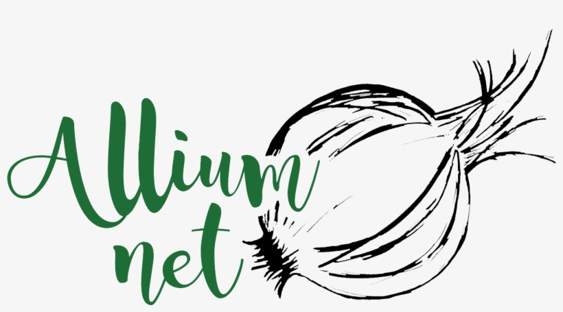 Alliumnet - Red Onion, transparent png #8015264