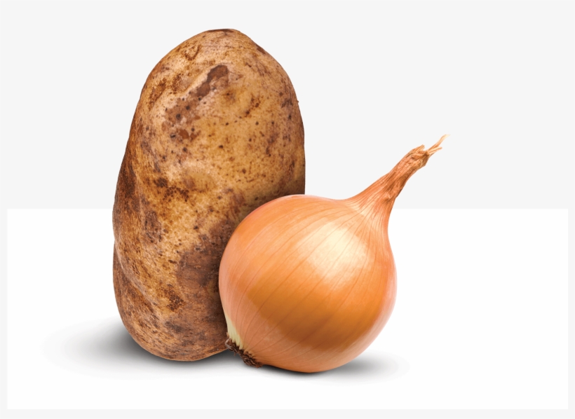 Engineering-first Approach - Shallot, transparent png #8015411