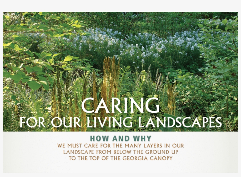 Georgia Native Plant Society Annual Symposium - Botanical Garden, transparent png #8015550