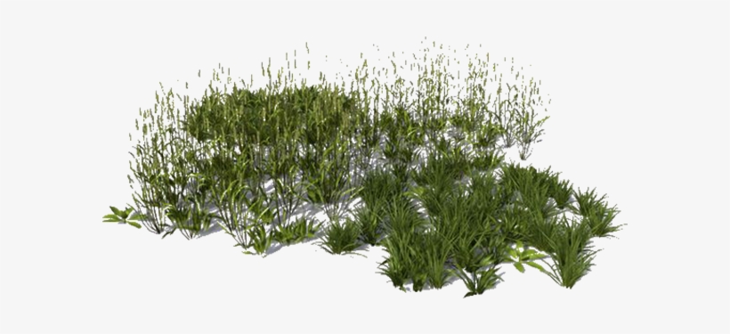 View In My Picture - 3d Grass For Photoshop Rendering, transparent png #8015596