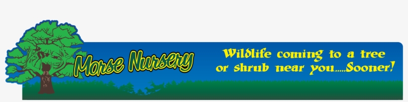 Morse Nursery - Graphic Design, transparent png #8016001