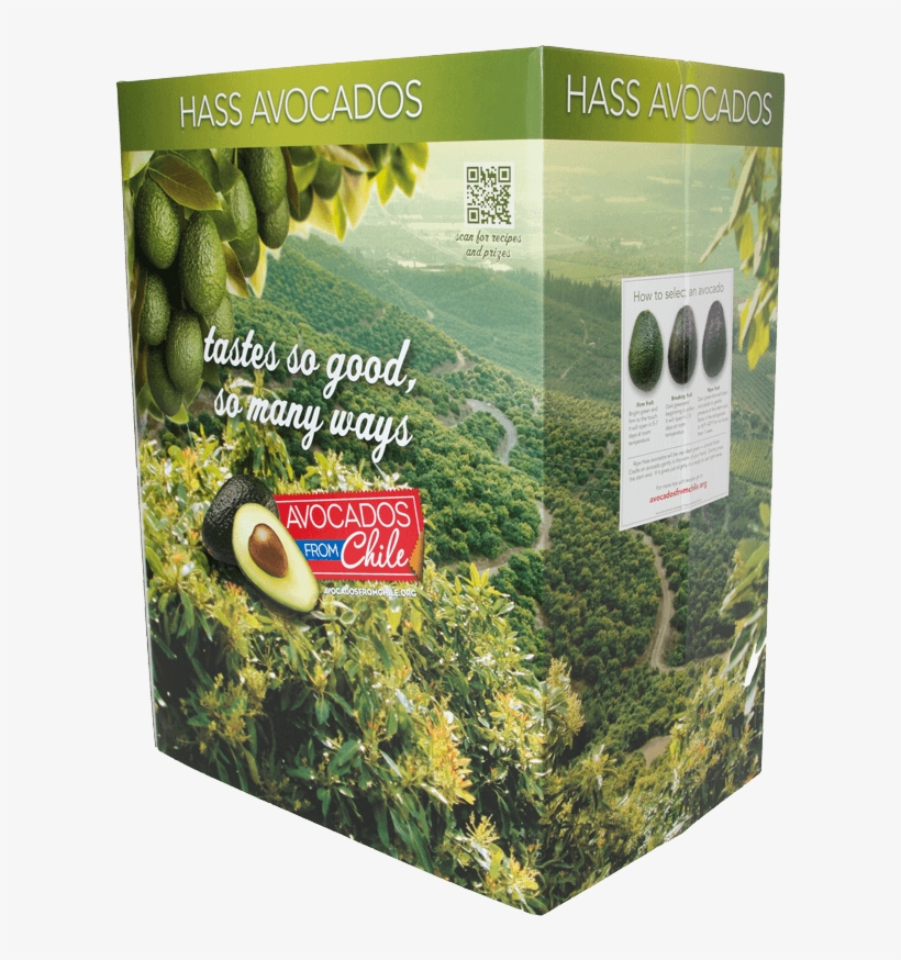 Counter Top Display With Product Lift - Balsam Fir, transparent png #8016165