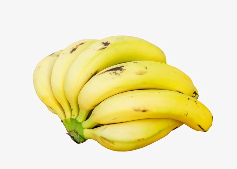 Chom Choms, transparent png #8016433