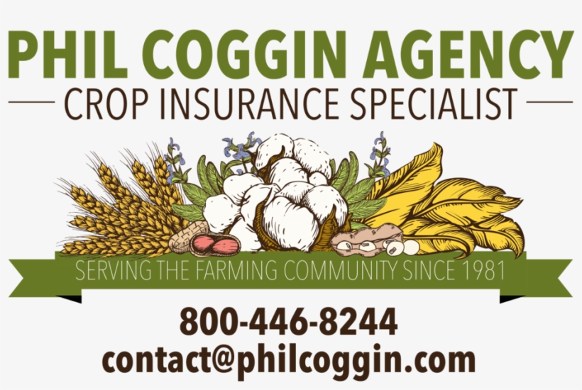 Phil Coggin Logo - Hospital Santa Elisa, transparent png #8016667