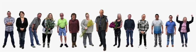 Fire Sale On Solidago Thursday And Friday Only - Social Group, transparent png #8017438