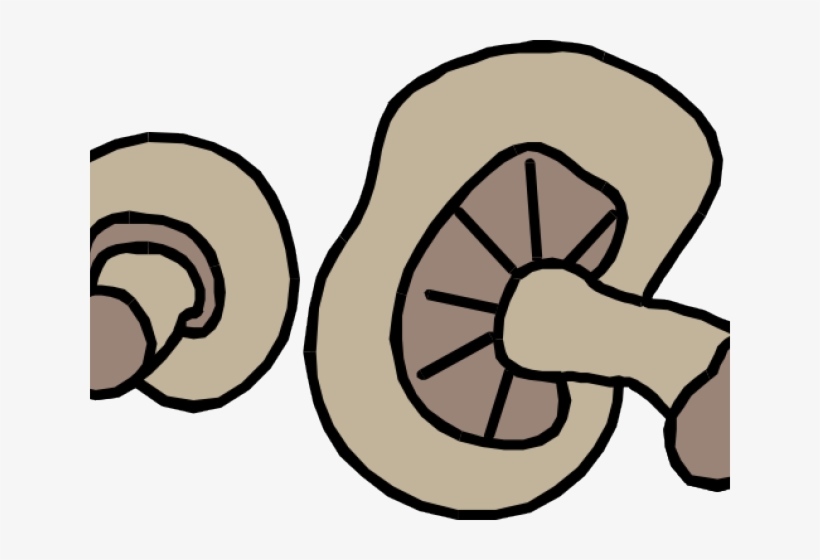 Mushroom Clipart Button Mushroom - Mushroom Clip Art, transparent png #8017534