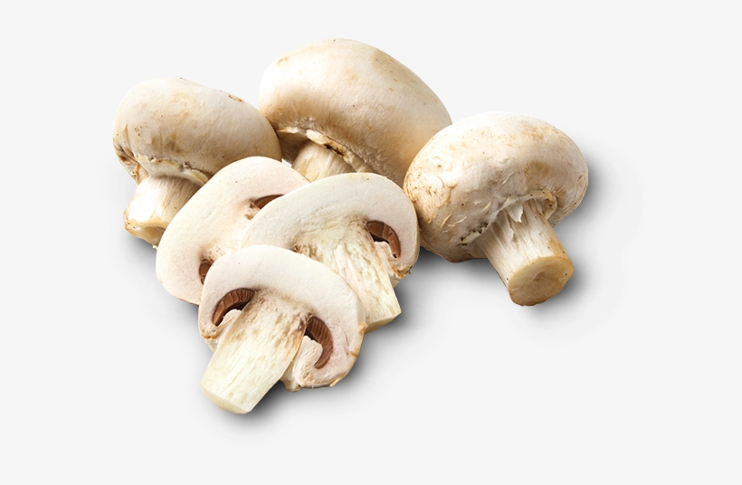 Mushrooms - Champignon Mushroom, transparent png #8018003