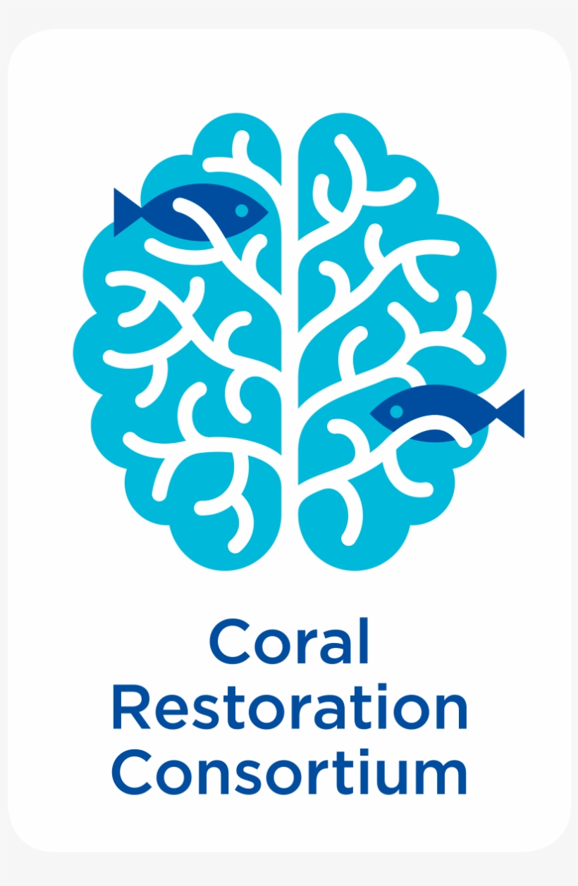 Post Conference Email & Survey - Coral Restoration Consortium, transparent png #8020522