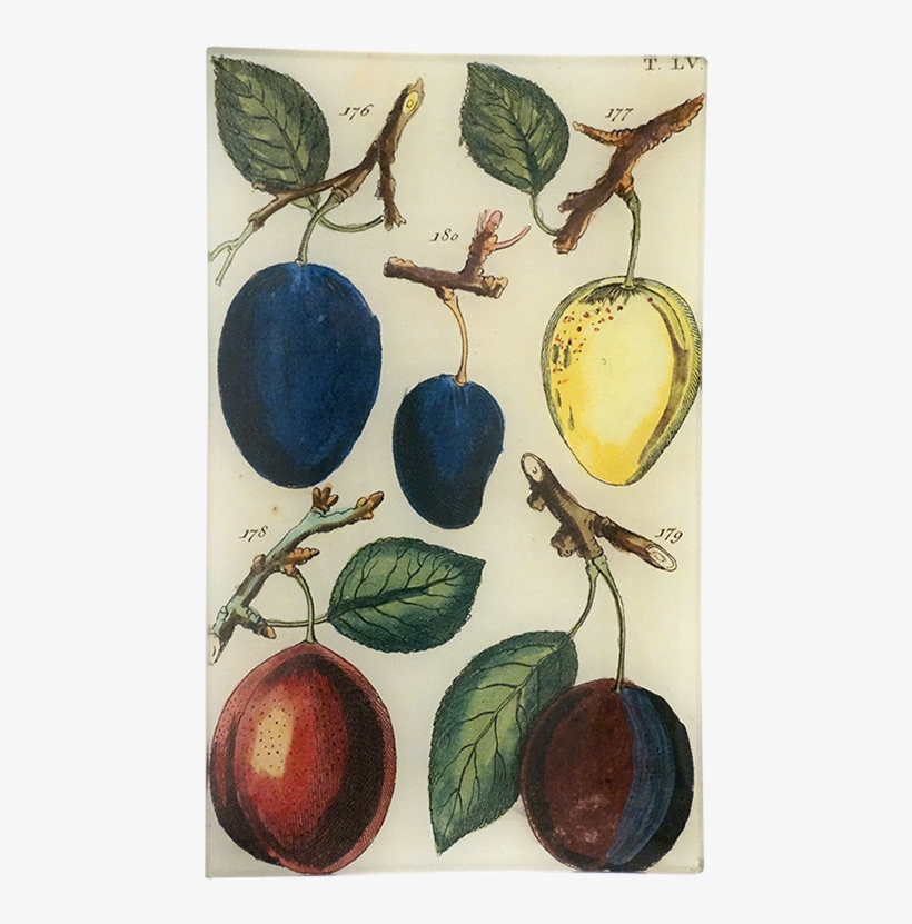 Seedless Fruit, transparent png #8021740