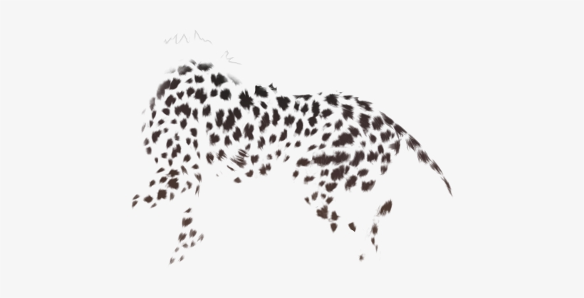 Jaguar, transparent png #8023102