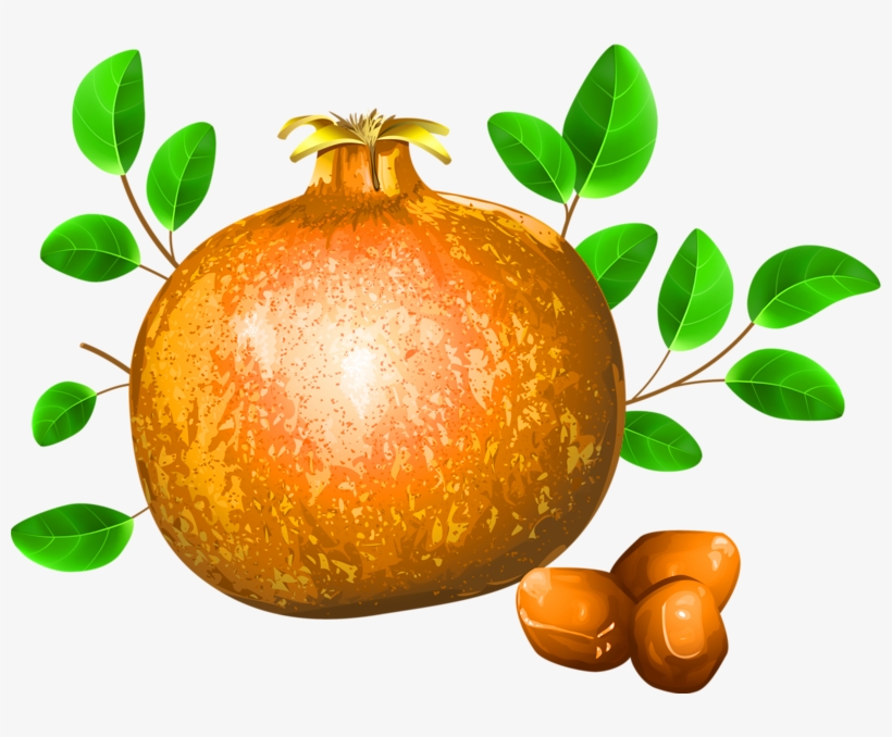 Pomegranate Fruit Drawing Illustration - Nar Yaprağı Çizim, transparent png #8023825
