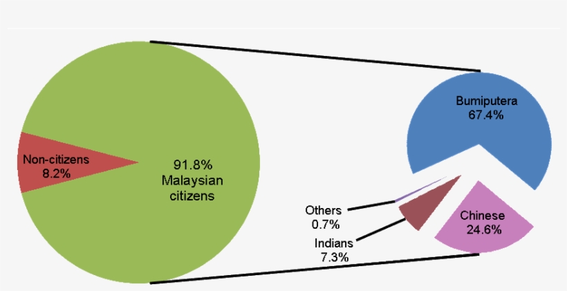 Percentage Distribution Of Malaysian Population By - Ethnic Distribution In Malaysia, transparent png #8024054