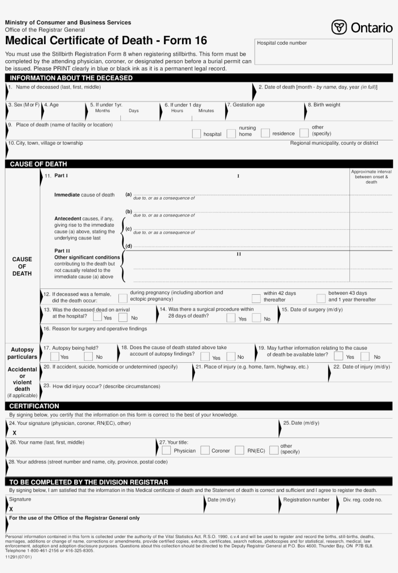 Healthcare Management Certificate Programs Online, - Medical Certificate Of Death, transparent png #8024186