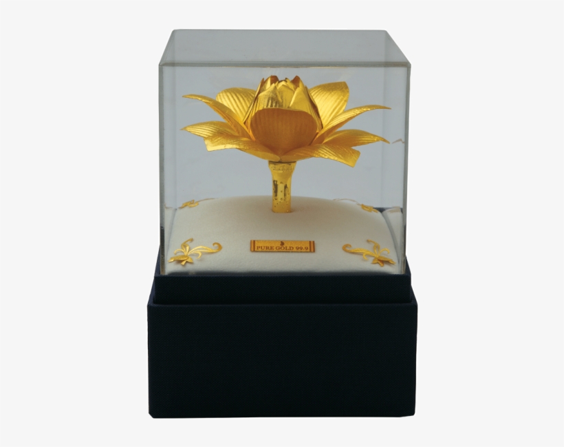 Golden Lotus - Trophy, transparent png #8025658