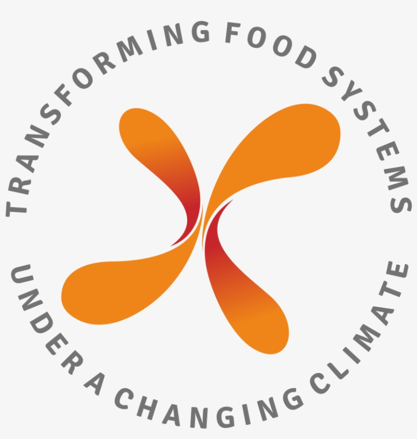 Driving, transparent png #8025815