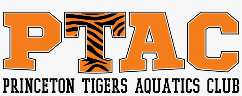 Princeton Tigers Aquatics Club, transparent png #8026469