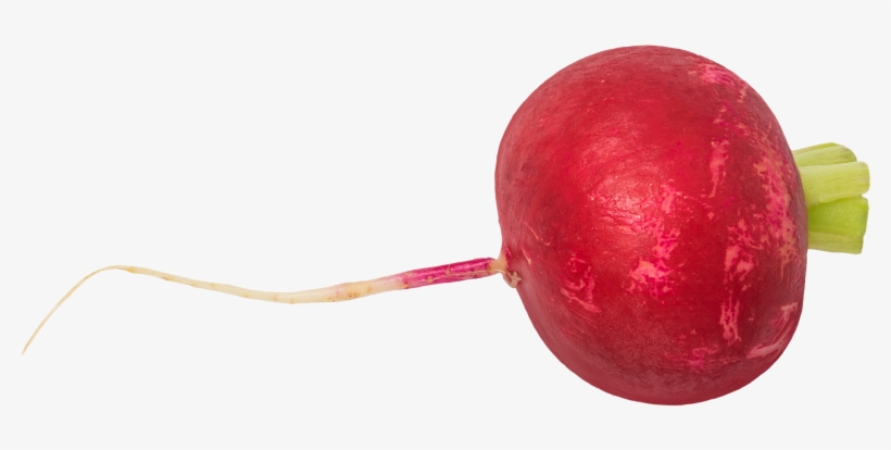 Radish - Rose Hip, transparent png #8027117