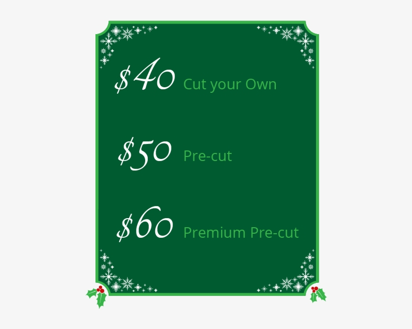 Here At Wilbert's Tree Farm We Accept Cash, Visa, Mastercard - Graphic Design, transparent png #8028512