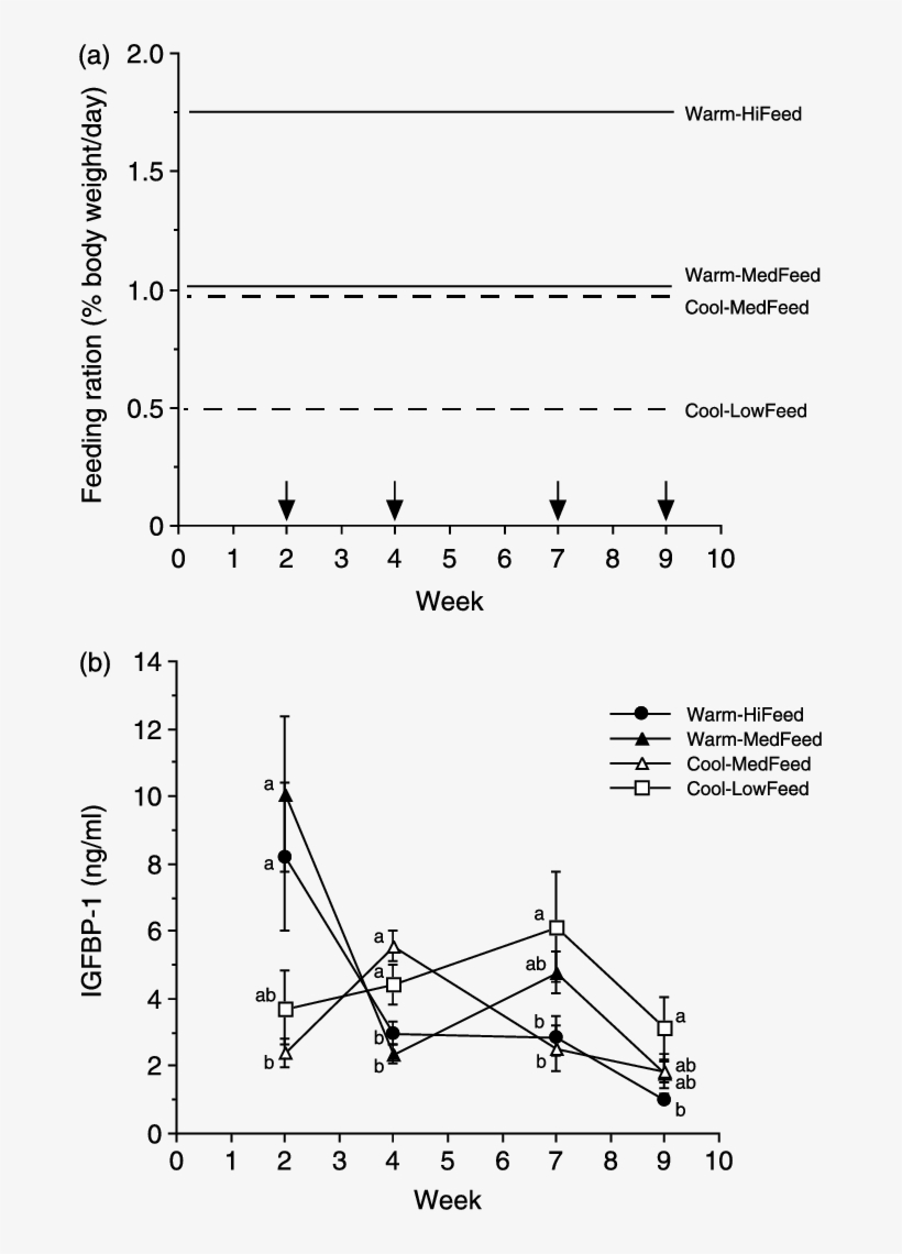 Effects Of Temperature And Feeding Ration On Plasma - Experiment, transparent png #8032371