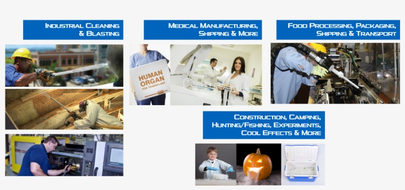 Applications - Jack-o'-lantern, transparent png #8032759