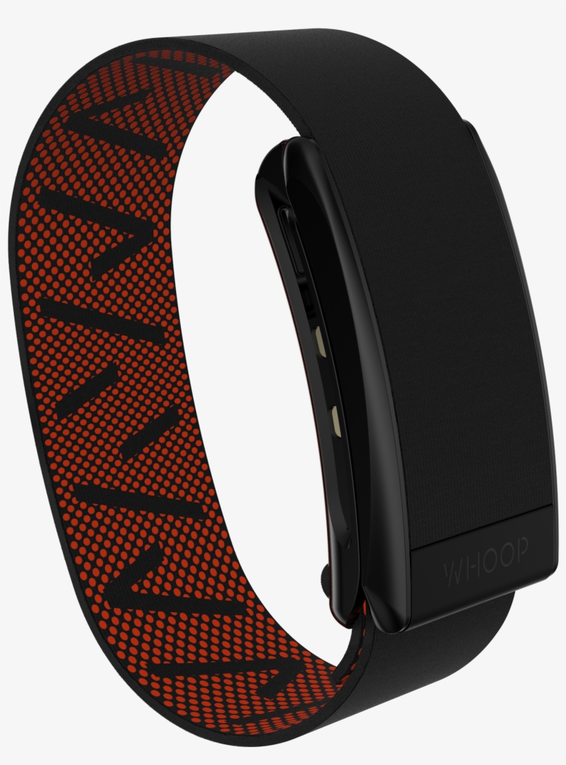 Courtesy Image 1 / - Belt, transparent png #8032800