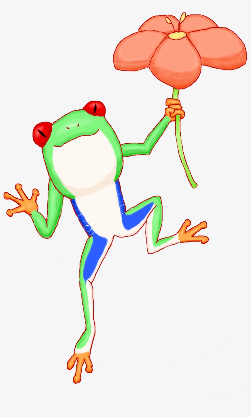 Red-eyed Tree Frog And Flower - Illustration, transparent png #8033532