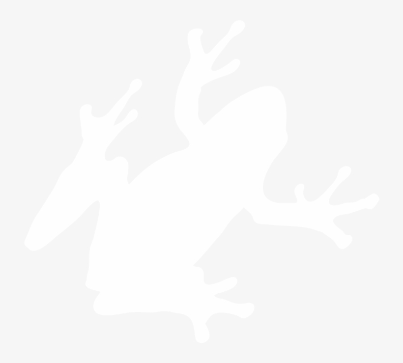 True Frog, transparent png #8033875