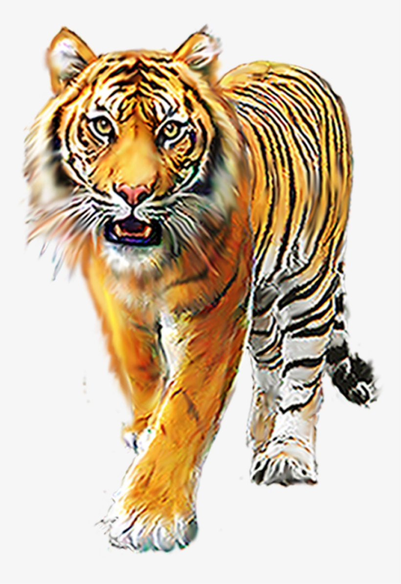 Cartoon Tiger Png - Ranthambore National Park, transparent png #8033942