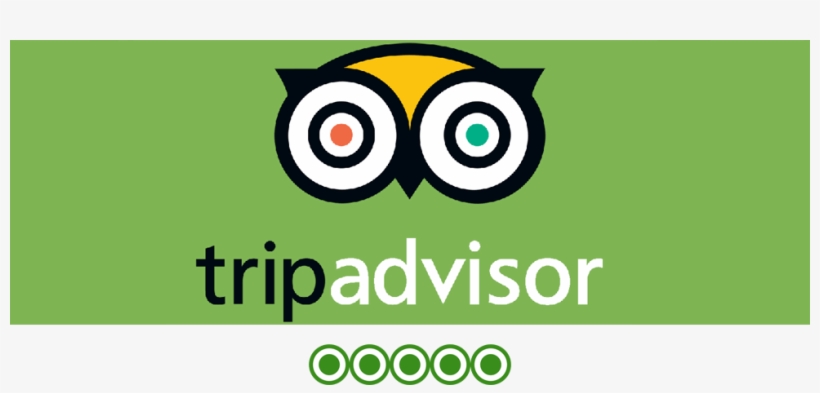 Tripadvisor - Circle, transparent png #8034843