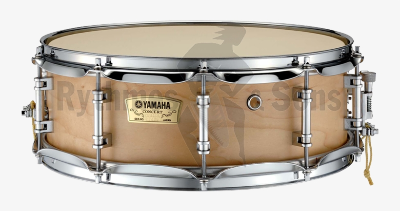 Yamaha Concert Snare Drum - Yamaha Concert Snare, transparent png #8035047