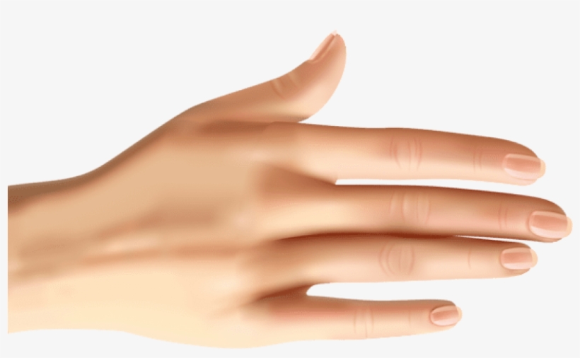 Download Hand Clipart Png Photo - Manicure, transparent png #8035099