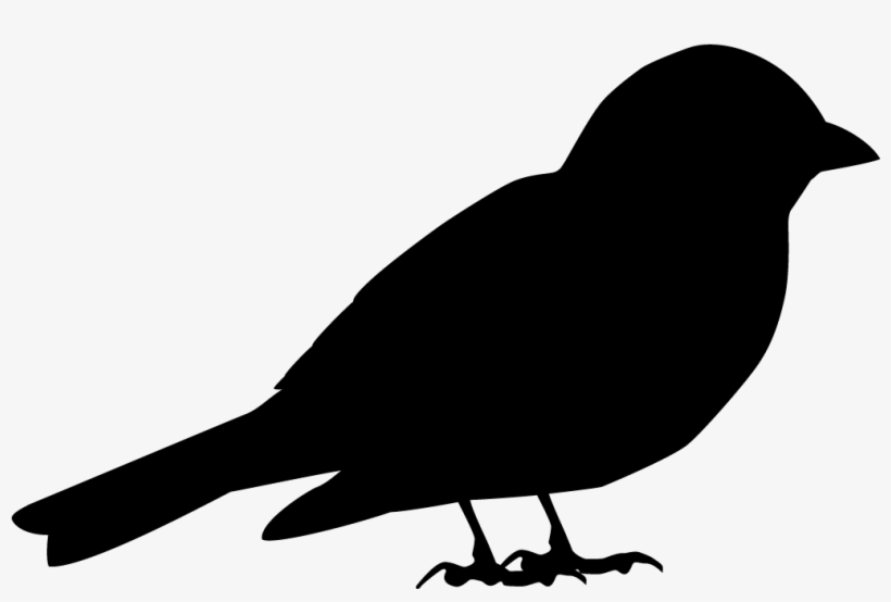 Eurasian Tree Sparrow - Shape Of Sparrow, transparent png #8035211