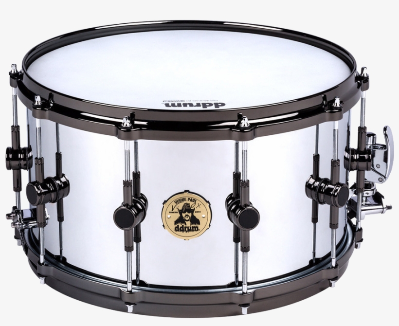 Vinnie Paul Ddrum Snare Drum, transparent png #8036032