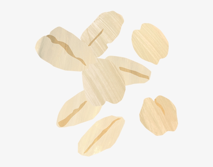 Granola - Insect, transparent png #8036158