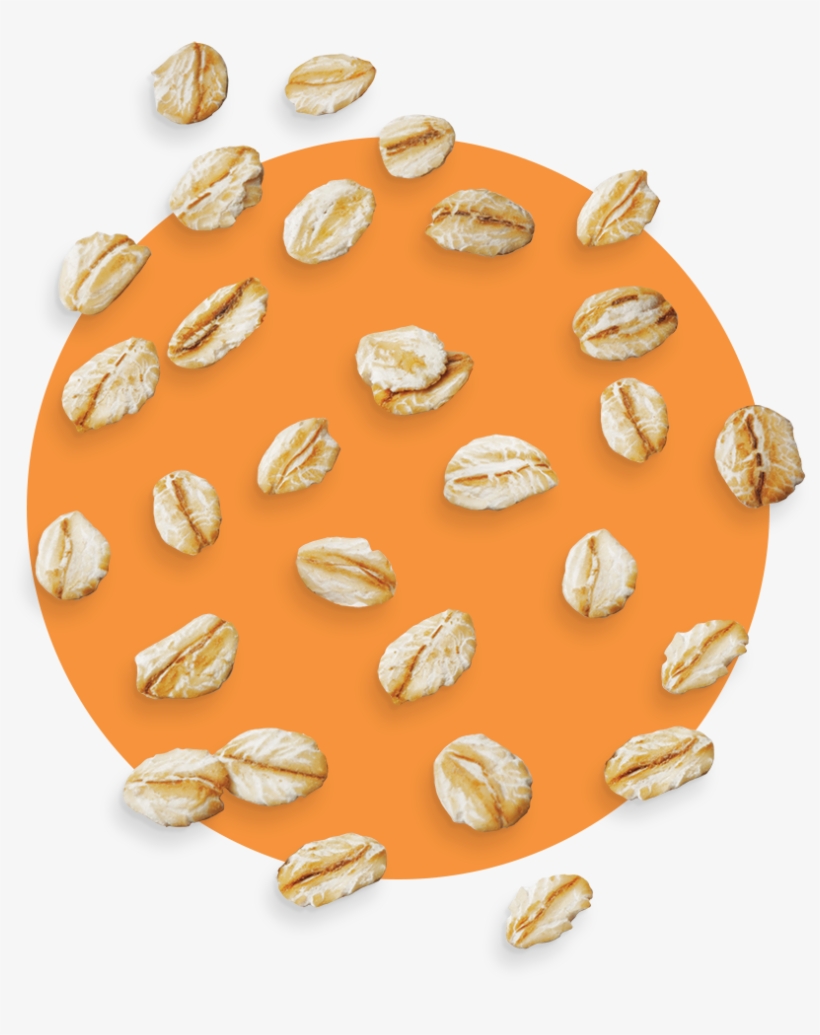 An Oat Mill In Northern Finland Ⓒ - Nut, transparent png #8036195