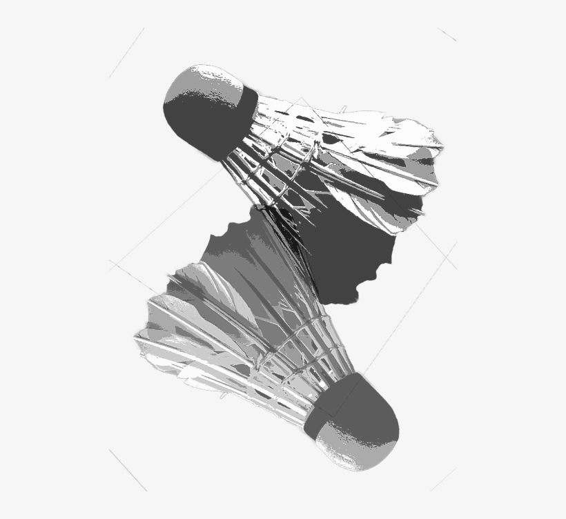 504 X 672 0 - Badminton, transparent png #8036575