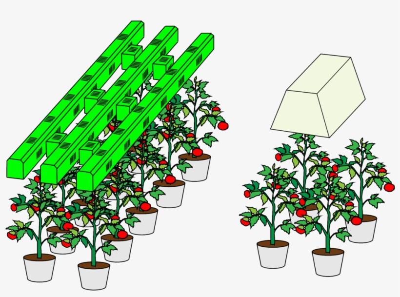 Green Fusion Led @ 1195 Watts Vs, transparent png #8036752
