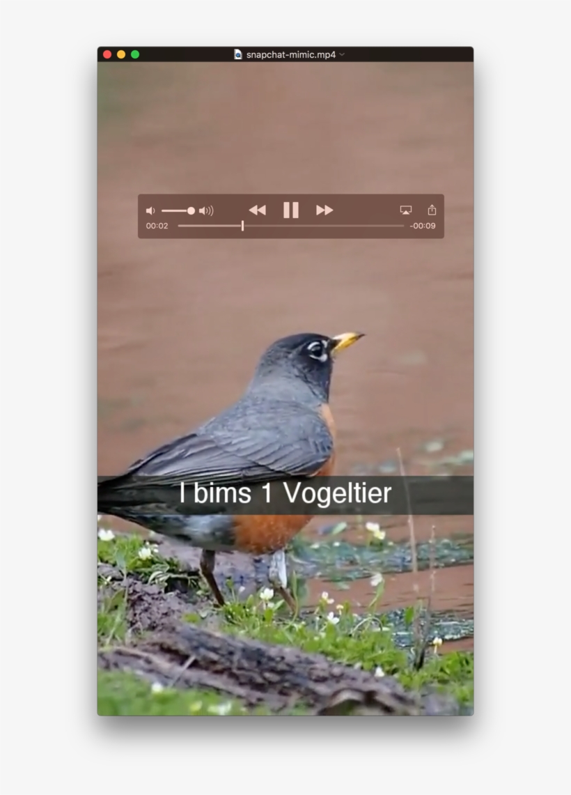 Project Description - Blackbird, transparent png #8036821
