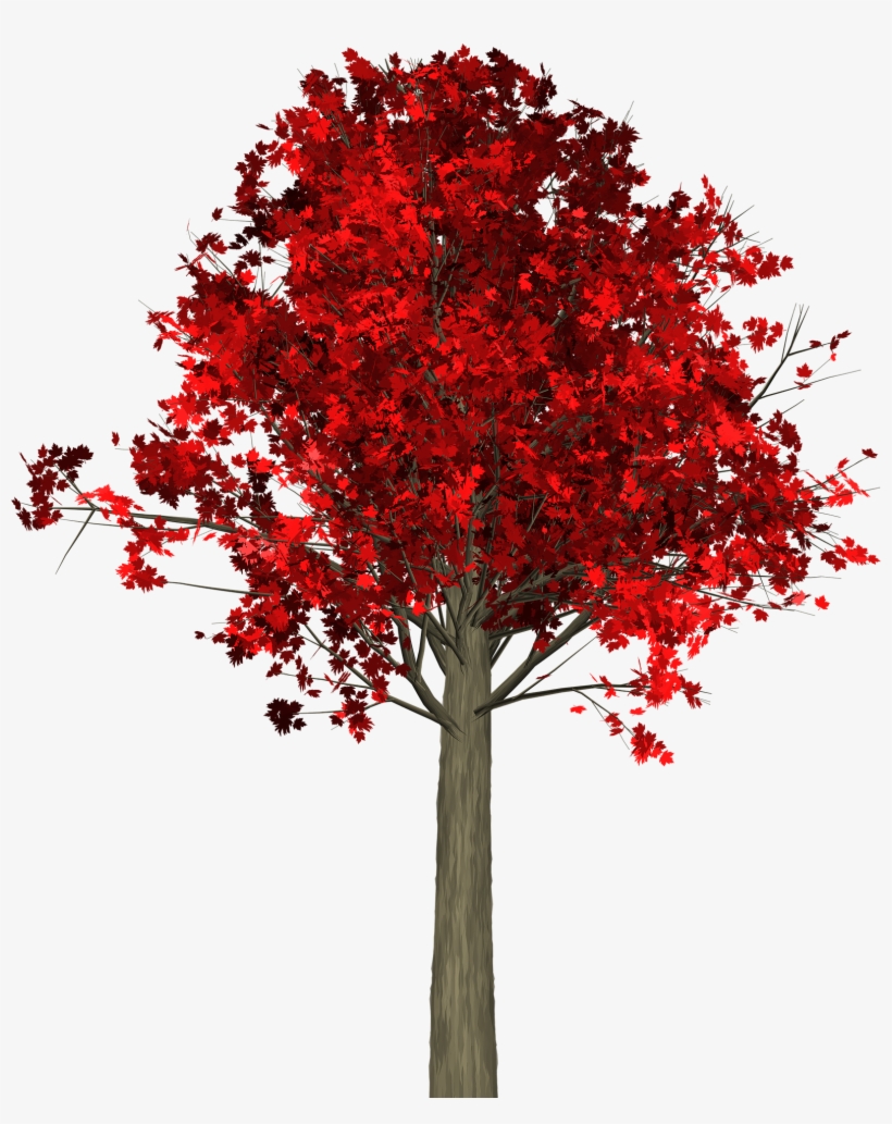 Arbre D Automne Png, transparent png #8037384