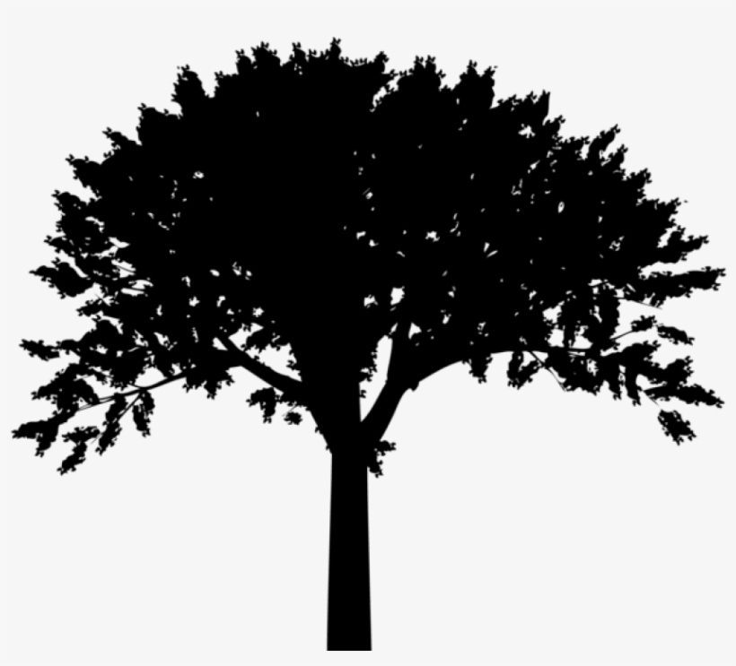 Free Png Tree Silhouette Png Png - Fruit Tree Silhouette, transparent png #8038975