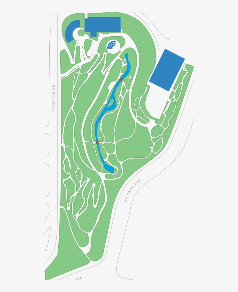 Aechmea Sphaerocephala Bromeliad Garden Bromeliad - Mildred Mathias Botanical Garden Map, transparent png #8039411
