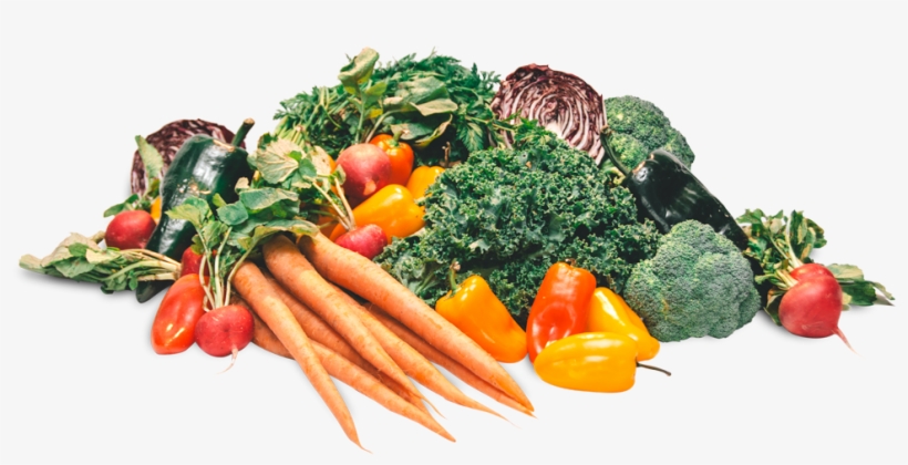 Photo By Jav Ducker - Broccoli, transparent png #8039468