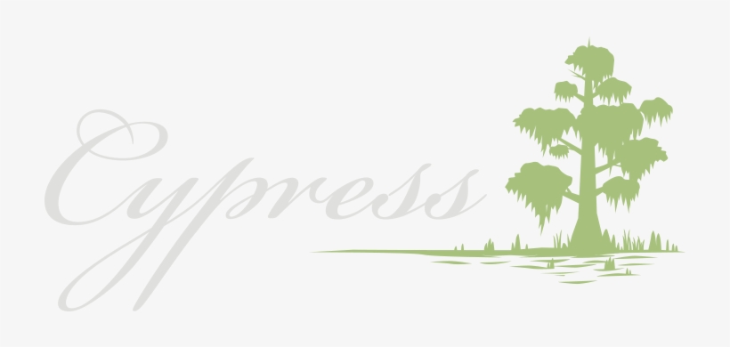 Cypress Pensicola Restaurant - Borassus Flabellifer, transparent png #8039624