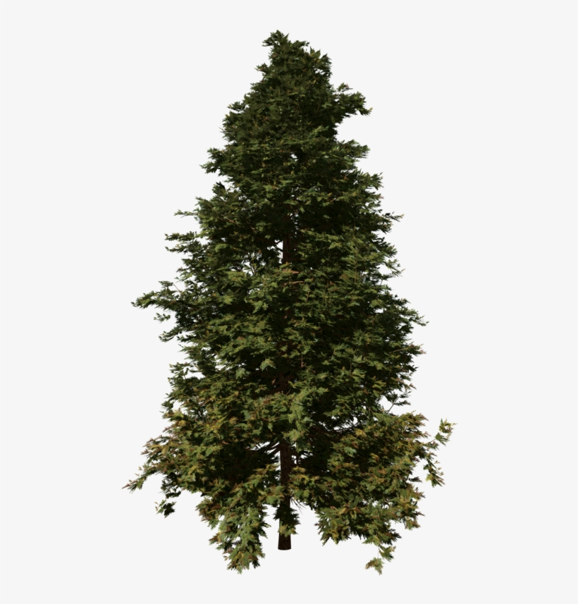 Hiba 1, transparent png #8039728