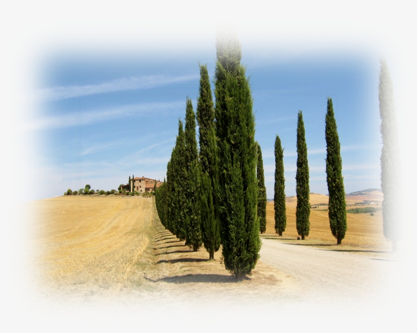Val D'orcia, Nuanced - Val D Orcia, transparent png #8039866